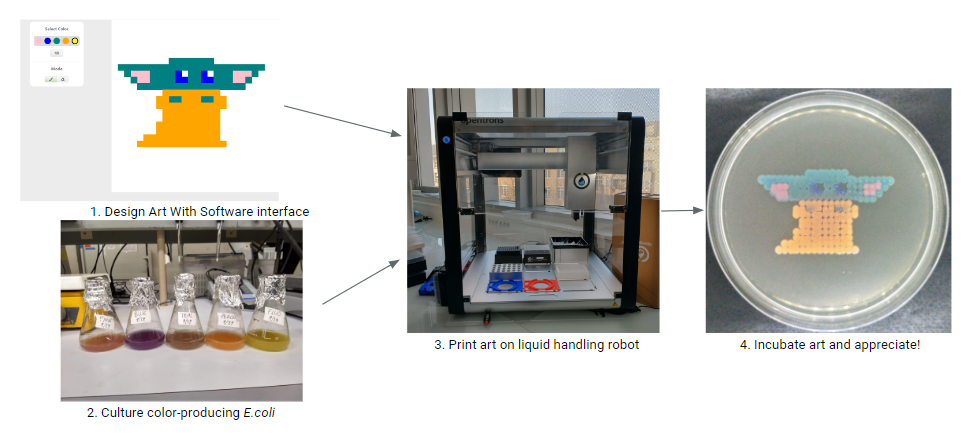 The BioArtBot Workflow